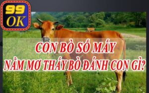 Nằm mơ thấy bò vào nhà